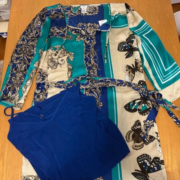 NWT Cache sleek shift style dress with matching slip - XS - Picture 1 of 8